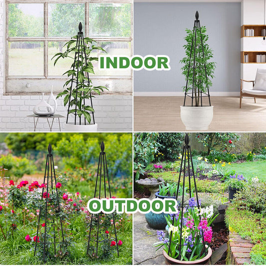 Garden Plants Support Obelisk Trellis Climbing Frame Rose Vine Tomato Stand