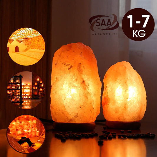 Himalayan Salt Lamp Natural Crystal Rock Shape Dimmer Switch Night Light 1-7 kg